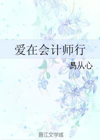 爱在会计师行